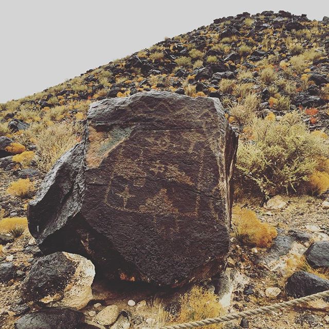 1741574_831665190293179_29536434_n