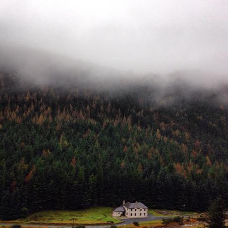 12230792_437922653057868_69245932_n1