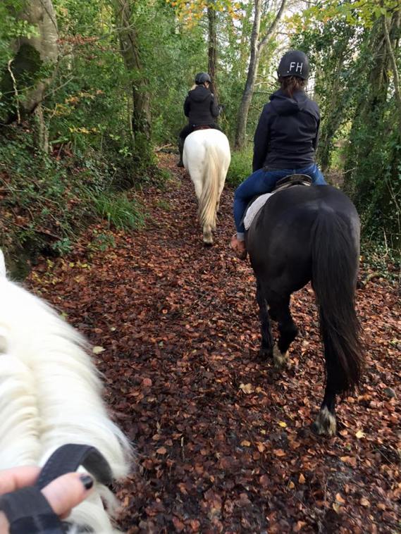 12348018_10208488144385443_2470189894596398426_n